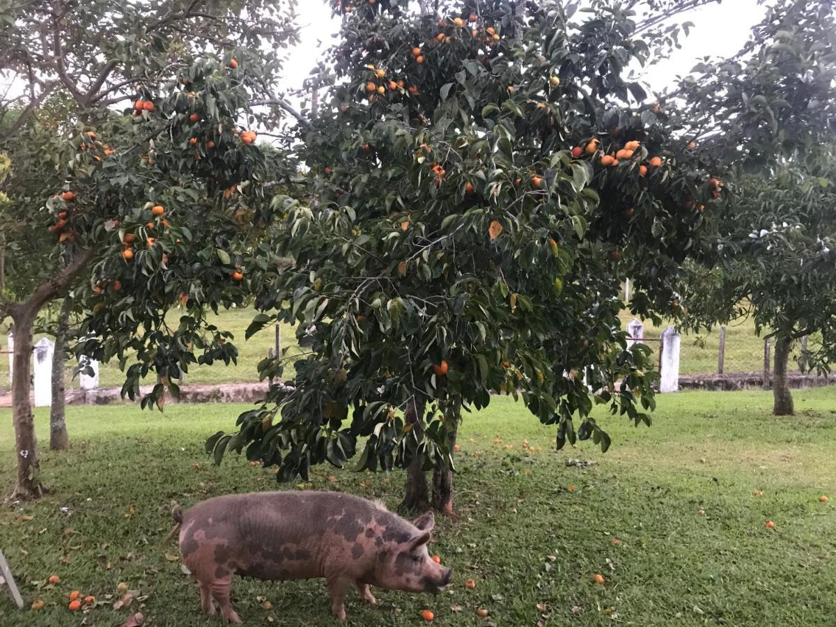 Sitio Dos Rodrigues Villa Lindoia Bagian luar foto